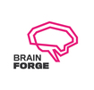BrainForge It Software & Consulting