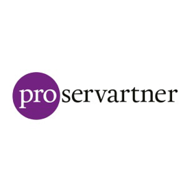 Professional Services Partner