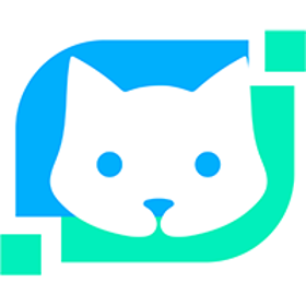 Neticat