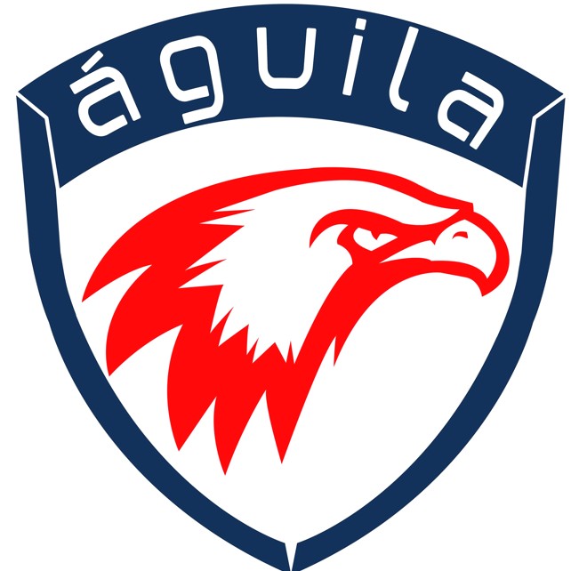 Aguila It Consulting